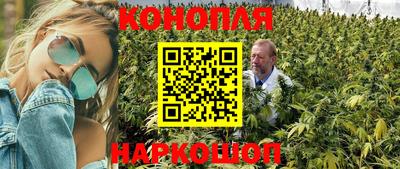 гидропоника Тулун