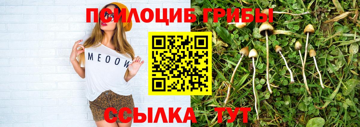 Псилоцибиновые грибы прущие грибы  Галлюциногенные грибы Psilocybe  Мытищи  где найти   Вход с VPN 