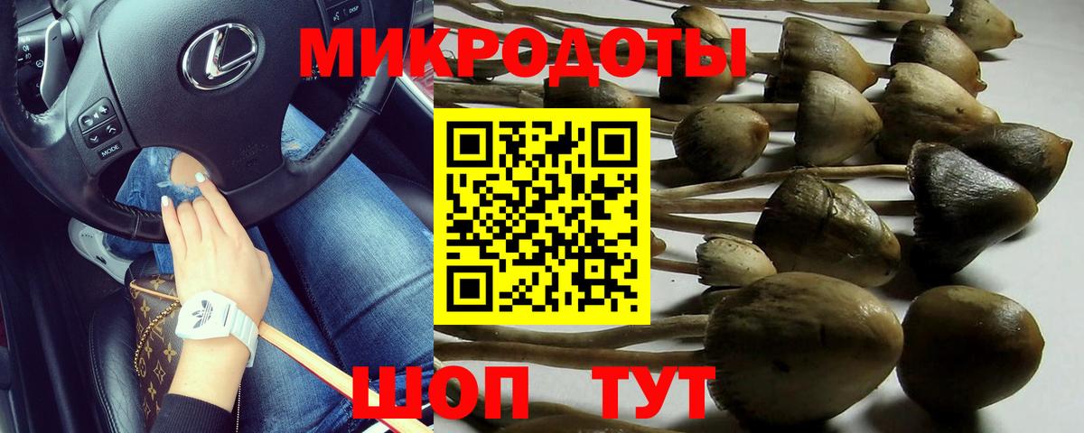 Псилоцибиновые грибы мицелий Мытищи